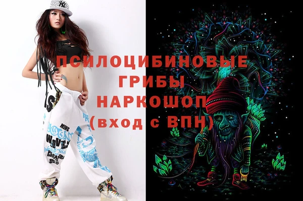 ГАЛЛЮЦИНОГЕННЫЕ ГРИБЫ Лихославль