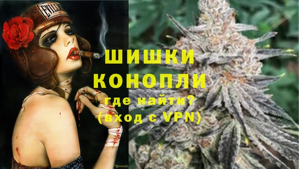 ПСИЛОЦИБИНОВЫЕ ГРИБЫ Липки