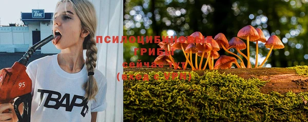 СК Лагань