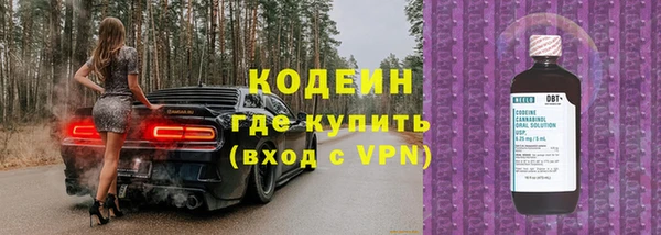 эйфоретик Лабытнанги