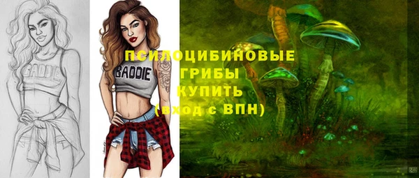 СК Лагань