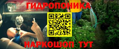стаф Будённовск