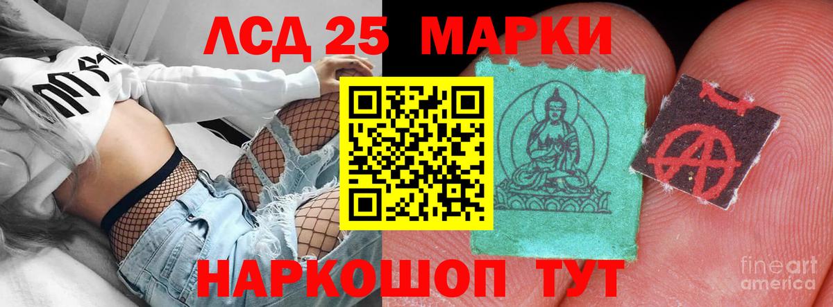 МЕФ Великий Новгород
