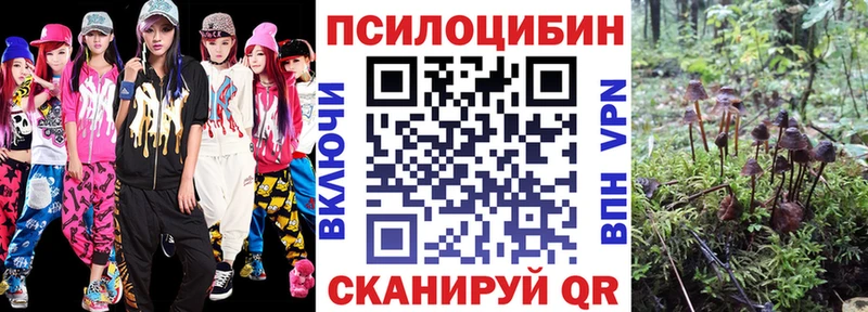 Псилоцибиновые грибы прущие грибы  цены   darknet Telegram  Великий Новгород 