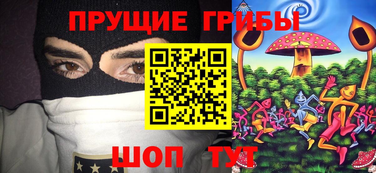 Великий Новгород  Галлюциногенные грибы мухоморы  Псилоцибиновые грибы Cubensis  Вход с VPN 