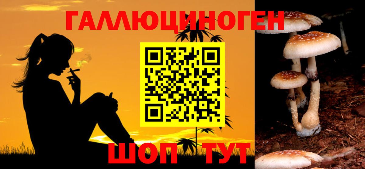 Псилоцибиновые грибы прущие грибы Великий Новгород